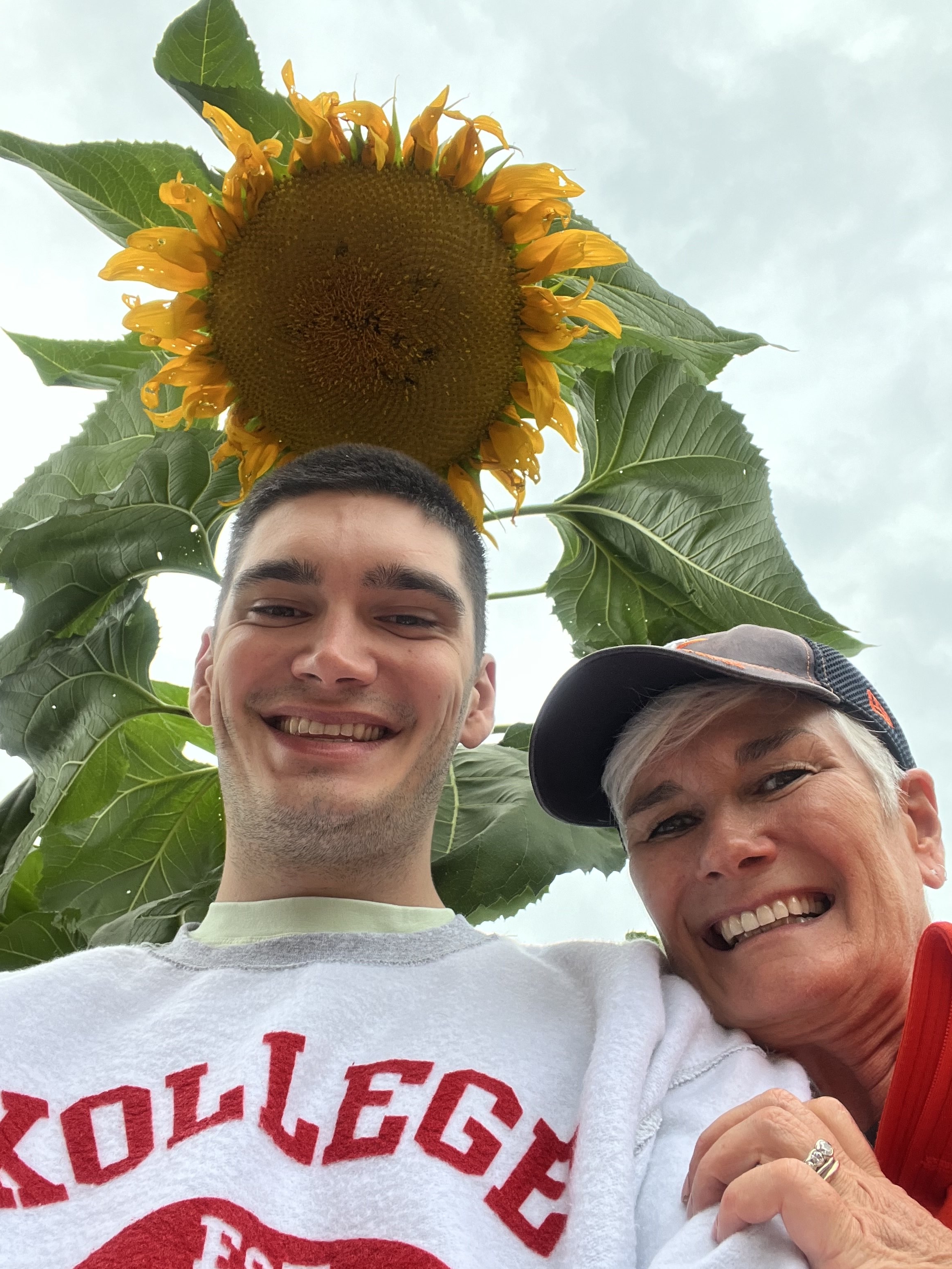 Mom gloating about her huge sunflowers Mom gloating about her huge sunflowers